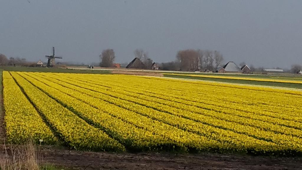 Vredehof Lägenhet Sint Maartensbrug Exteriör bild