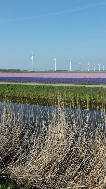 Vredehof Lägenhet Sint Maartensbrug Exteriör bild